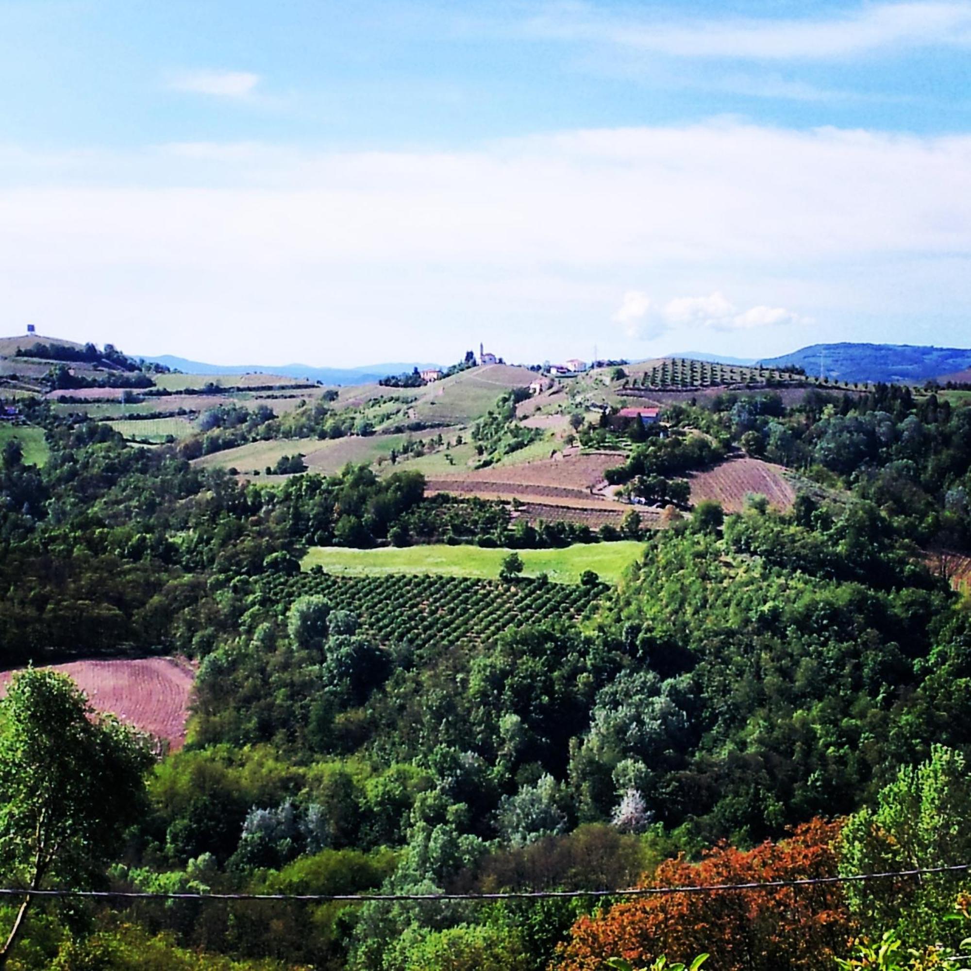 Bed And Breakfast Val D'Oche Castel Boglione Buitenkant foto