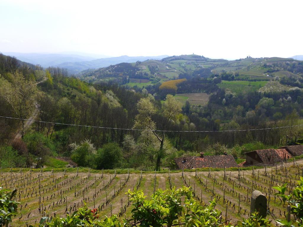 Bed And Breakfast Val D'Oche Castel Boglione Buitenkant foto